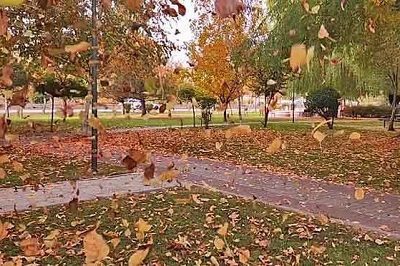 Fall
