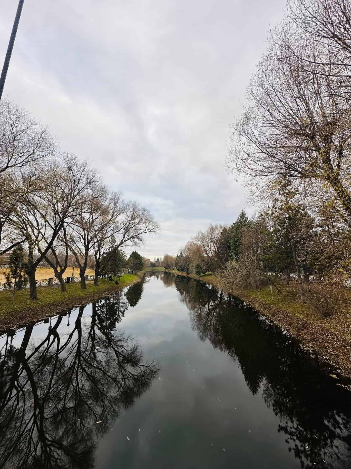 A vertical shot of the calm Porsuk River in Eskişehir, lined with bare autumn trees reflecting in the dark water under a cloudy sky.